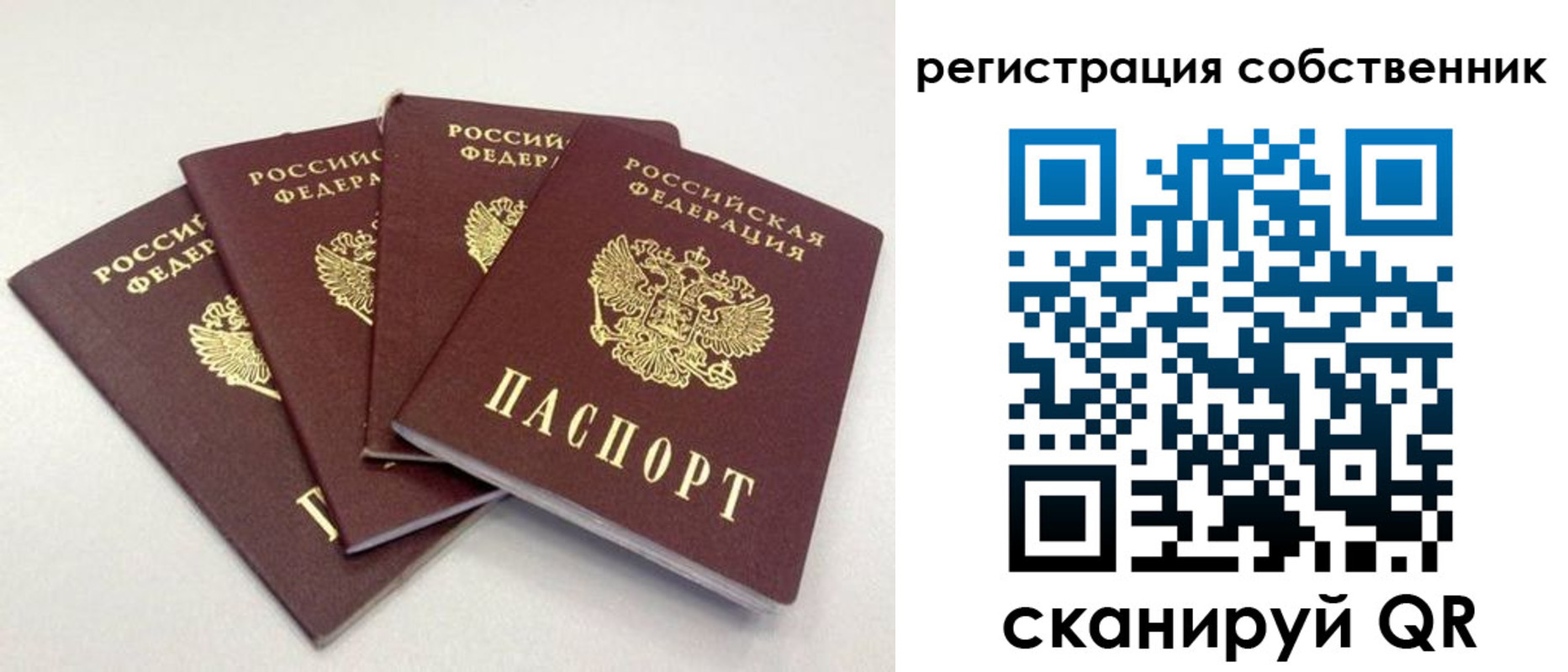 прописка для школы в Борисоглебске